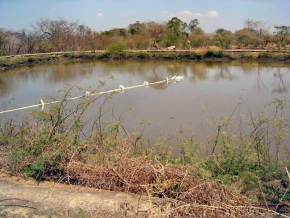 Reservoir with contaminated water at San Ildefonso